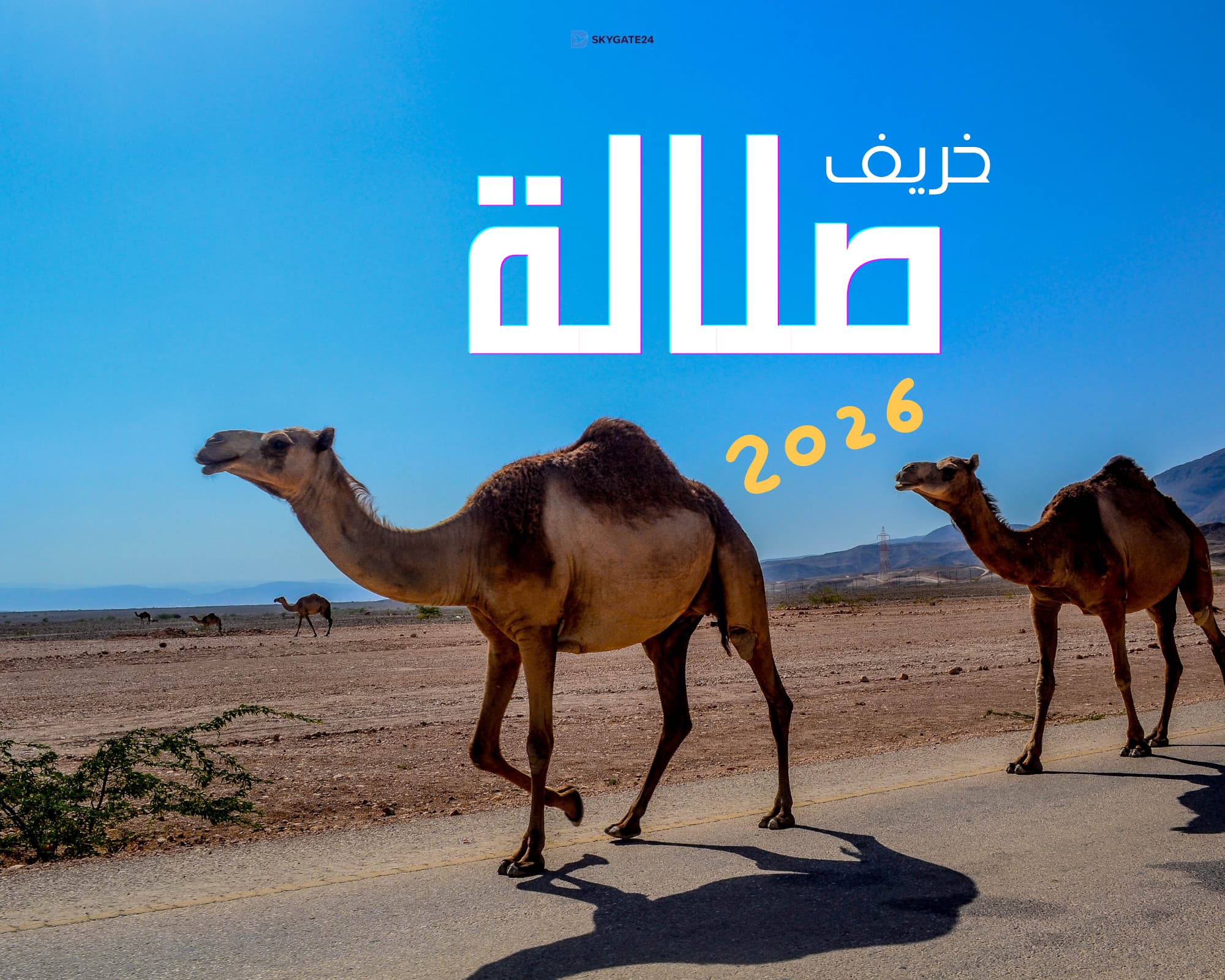 سياحة صلالة 2026: لماذا تتربع عروس الخريف على عرش الوجهات العربية؟